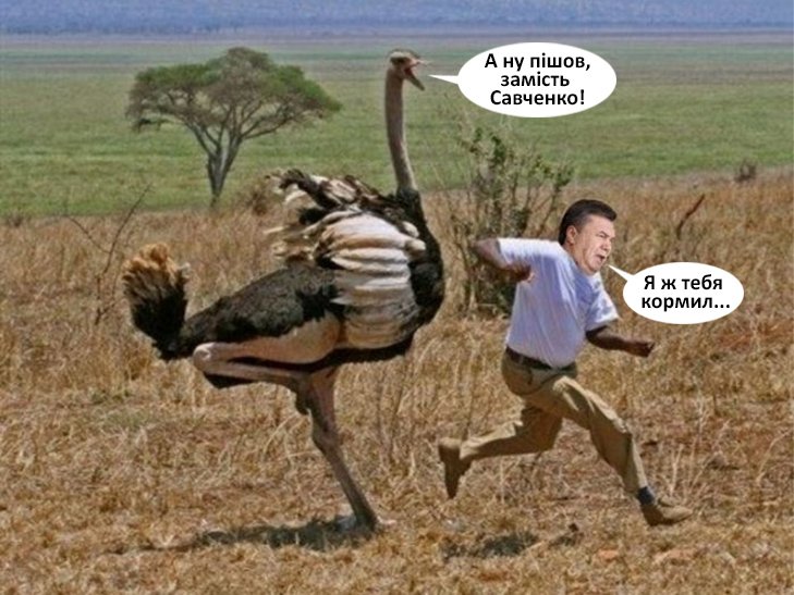 4afbad69c02060cba6a41cdb4a9ed21b