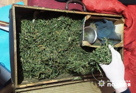 Поліцейські припинили наркозлочинну діяльність чернівчанина