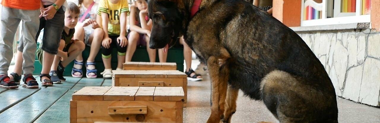 На Буковині поліцейські навчають дітей правилам безпечного дозвілля 