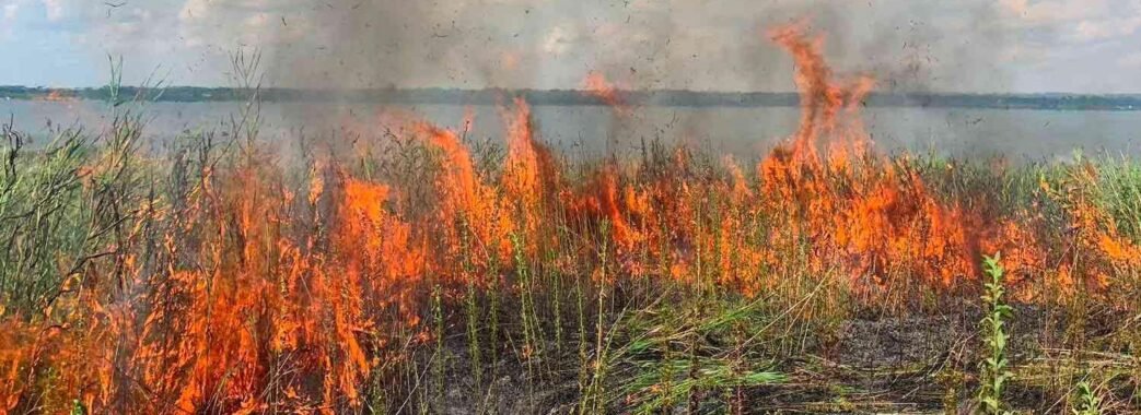 Спекотні дні в Україні: гідрометеорологічний центр прогнозує надзвичайний рівень пожежної небезпеки