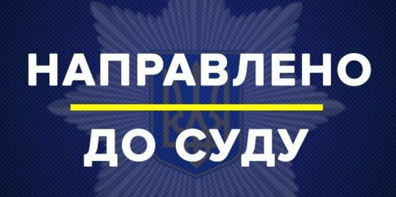 За зберігання вдома великої кількості канабісу буковинцю загрожує ув’язнення