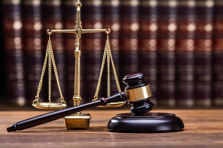 Допустив незаконну порубку дерев - судитимуть працівника лісгоспу Буковини