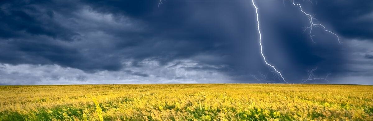  Гроза наближається: коли в Чернівцях очікуються опади