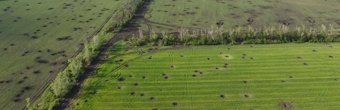 5 млн га сільськогосподарських земель в Україні не придатні до використання через мінування