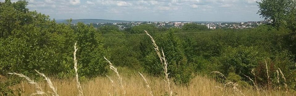 У Чернівцях за понад 10 млн грн продали через аукціони низку земельних ділянок