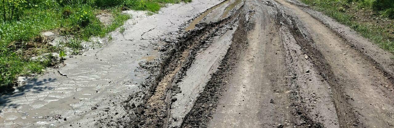 У Чернівецькій області негода зруйнувала дорогу та мости - фото