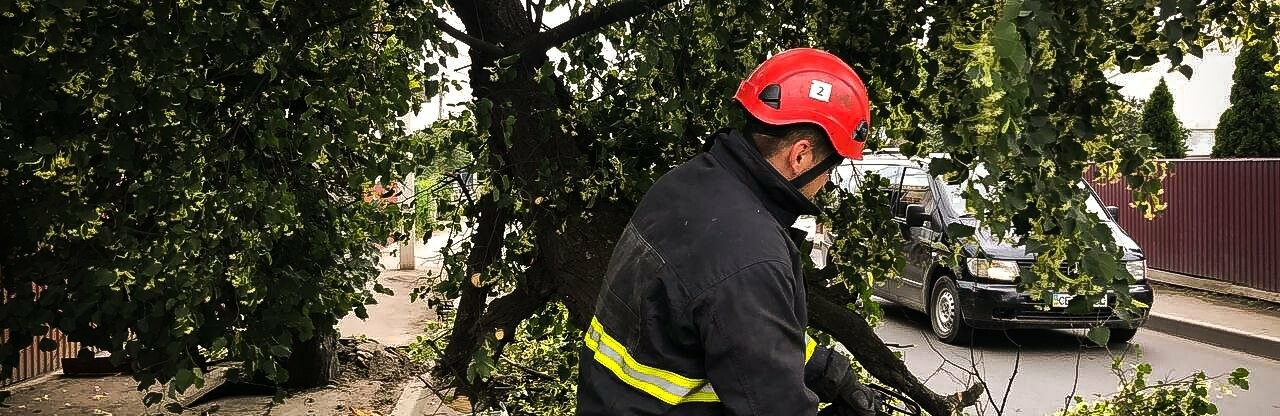 Впало дерево у Чернівцях: рятувальники відновили рух транспорту