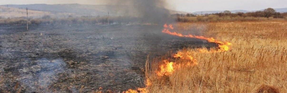 У Чернівецькій області зареєстровано 107 пожеж: яких збитків зазнав регіон