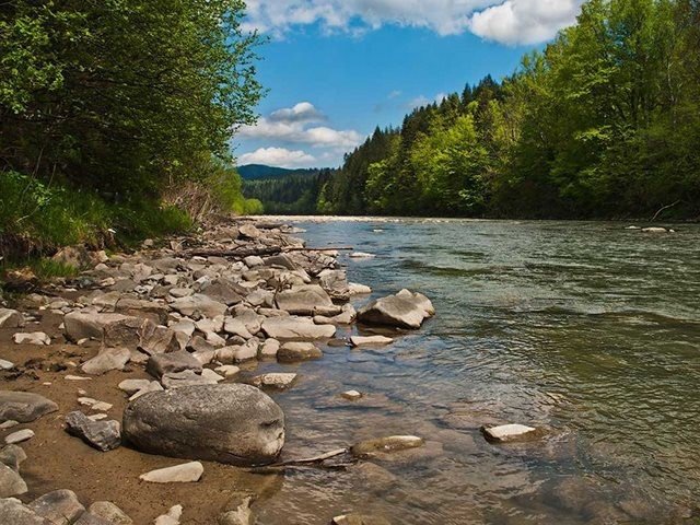 Буковинців попереджають про підйоми рівня води у річках Прут та Сірету