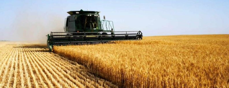 Сільськогосподарський успіх: на скільки Буковина наростила експорт товарів