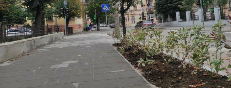 У Чернівцях оновили тротуари та висадили понад 240 кущів
