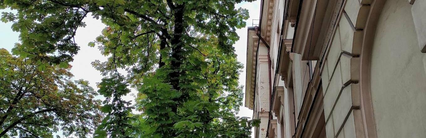 Яке свято 1 серпня: народні прикмети на цей день