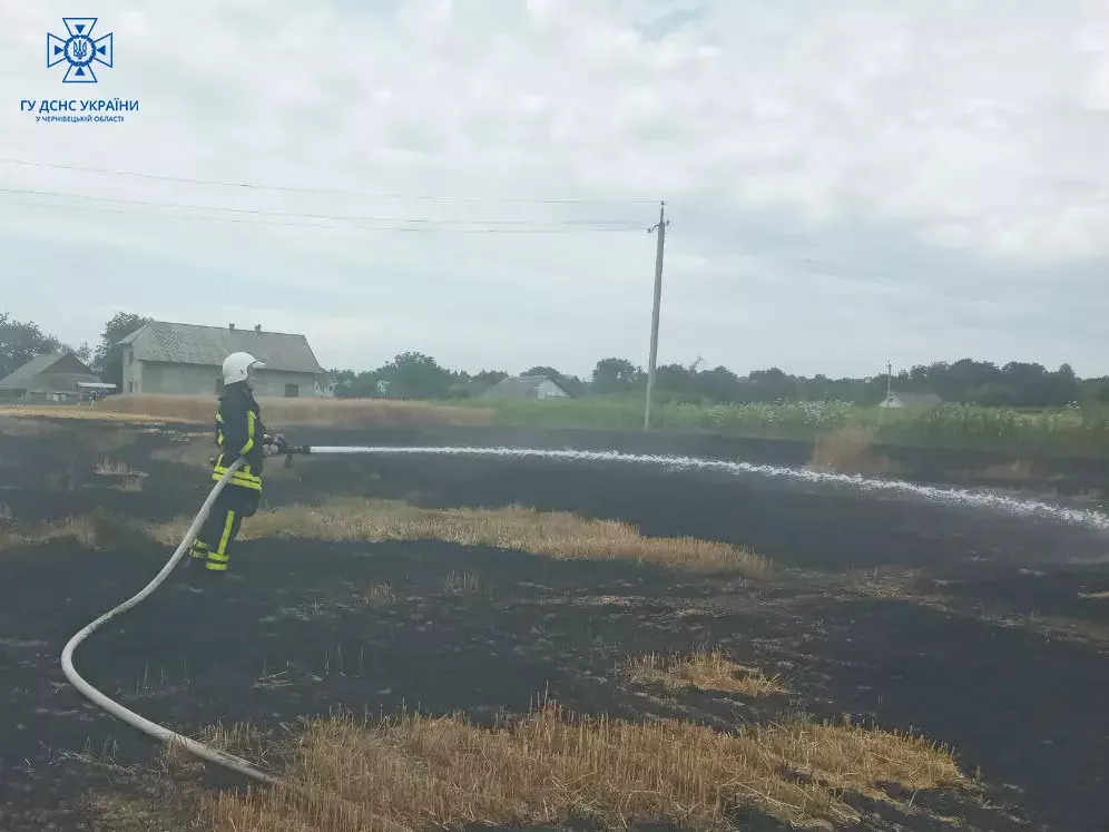 На Буковині рятувальники двічі ліквідували пожежі через загоряння сухої рослинності