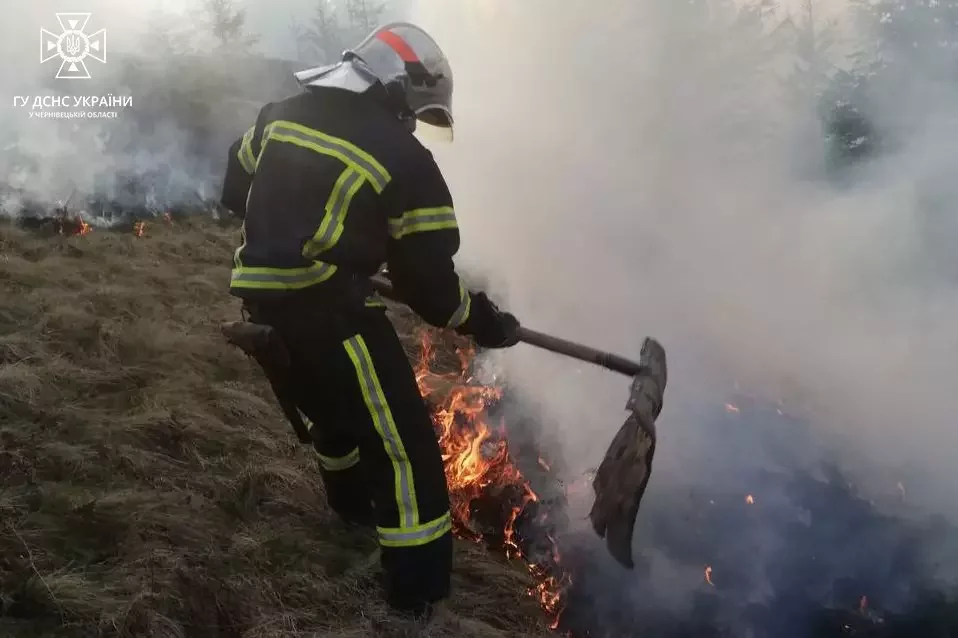 У Чернівецькій області пожежа ледь не перекинулась на ліс 