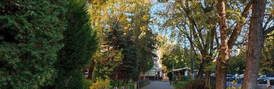 Мальовнича природа жовтневих Чернівців - ФОТО
