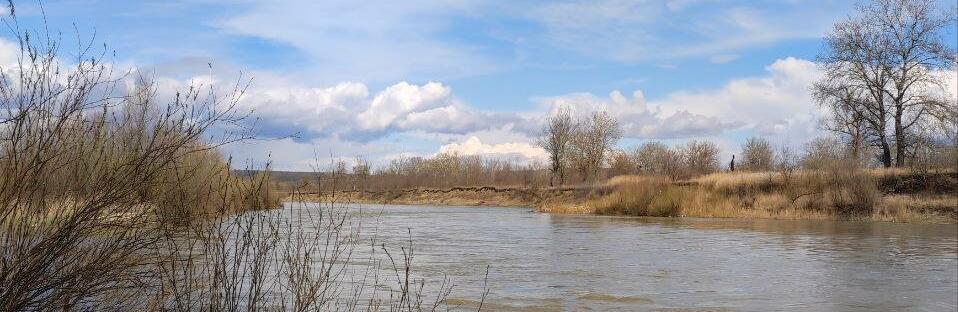 Чому у річці Прут у Чернівцях заборонено купатися 