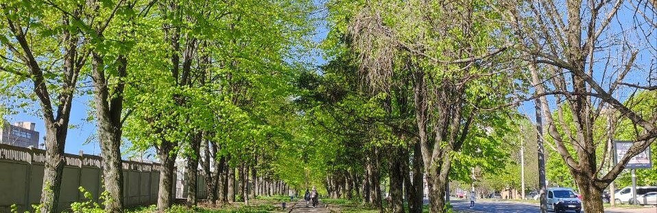 Хейтери ЧТУ і тарифи на електроенергію - ТОП новин Чернівців за тиждень