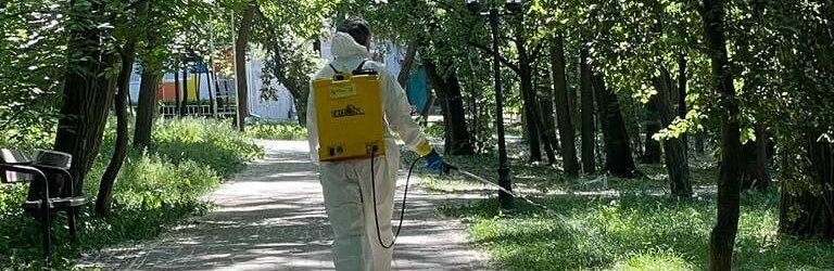 Коли у Чернівцях оброблятимуть від кліщів парк Шевченка