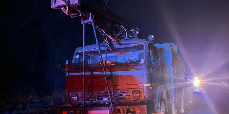 У Чернівецькому районі незаконно перевозили лісодеревину