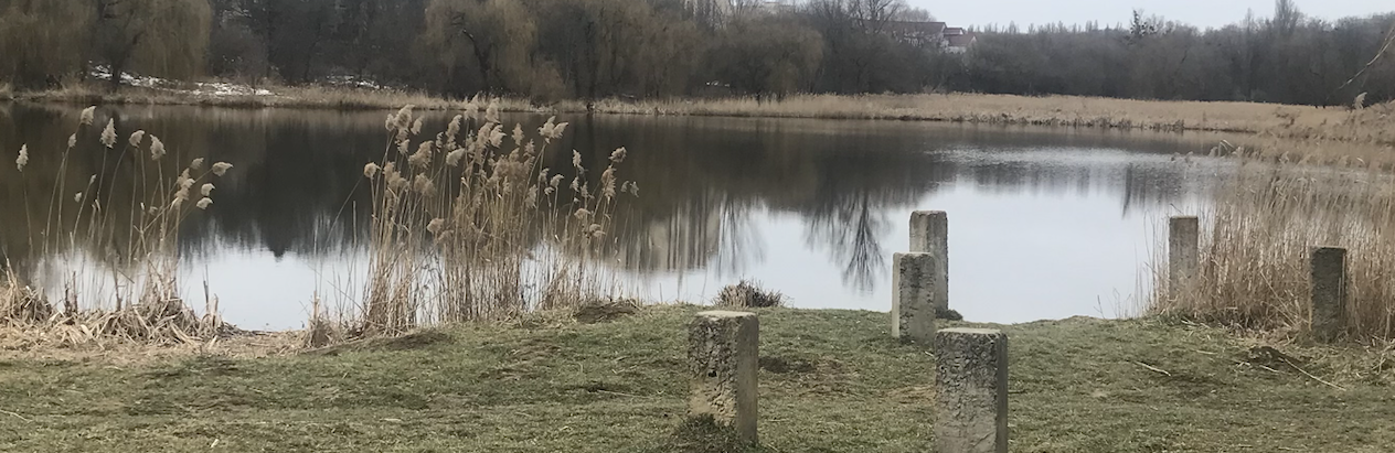 У Чернівці йде потепління. Прогноз погоди на наступний тиждень 