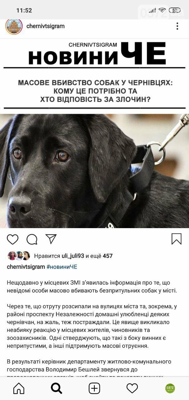 Погрози, нецензурна лексика та чорний список або як адмініс..., фото-1 Погрози, нецензурна лексика та чорний список або як адміністратори чернівецьких груп спілкуються із підписниками, фото-1