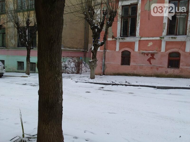 Погода у Чернівцях на вихідні, 0372.ua
