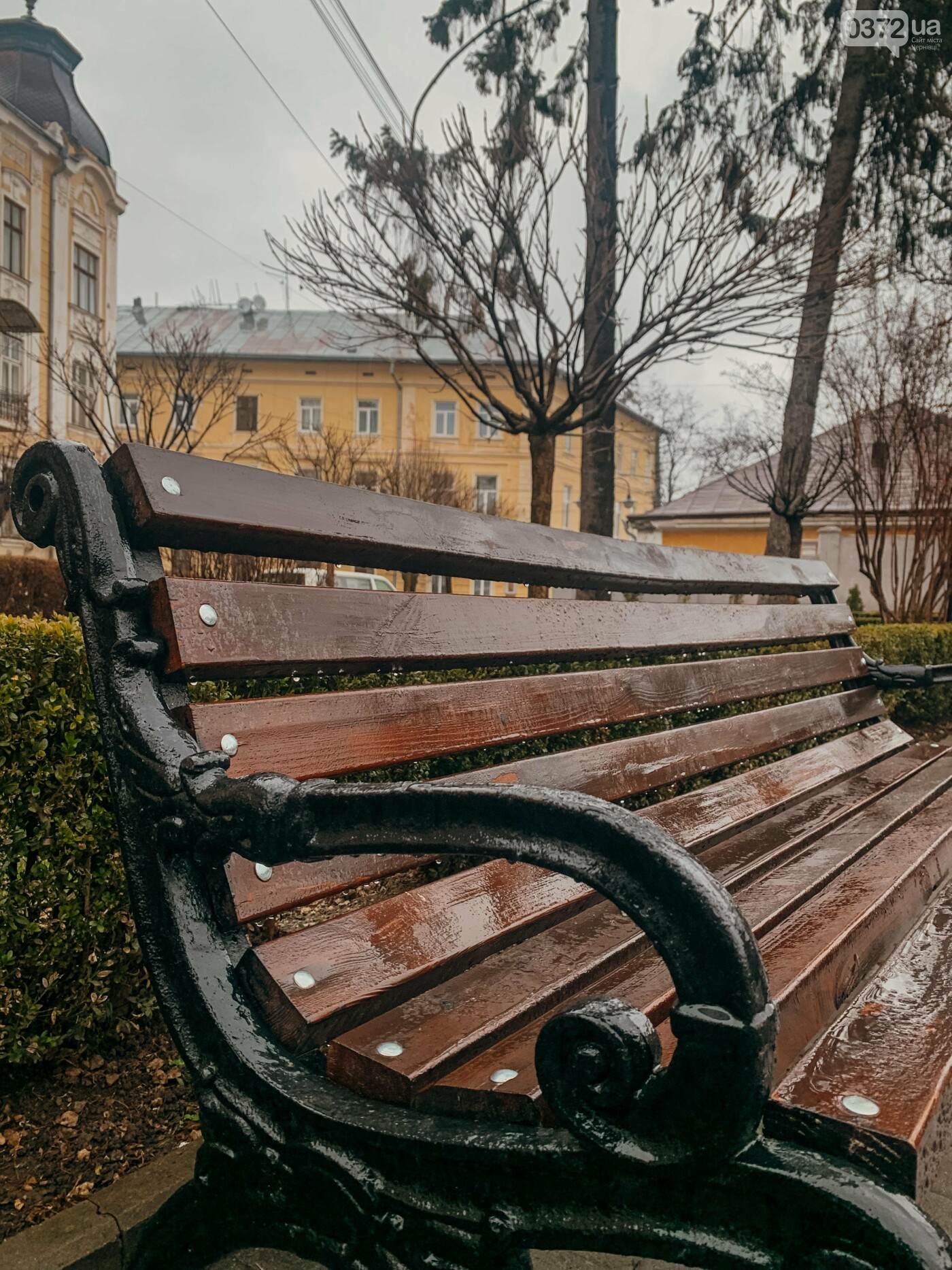 Фото дощового ранку в Чернівцях