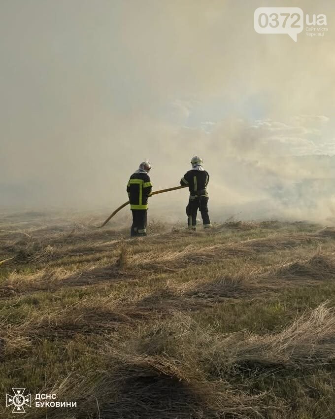 Рятувальники Буковини під час роботи