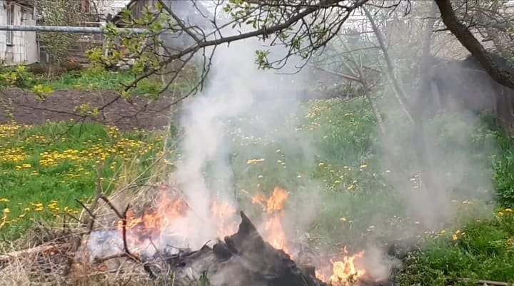 Фото взято з відкритих джерел
