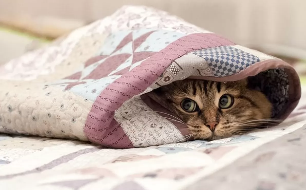 Погода у Чернівцях на тиждень