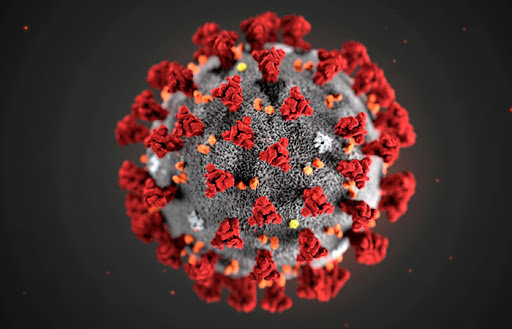 Загалом на сьогодні існує кілька десятків коронавірусів