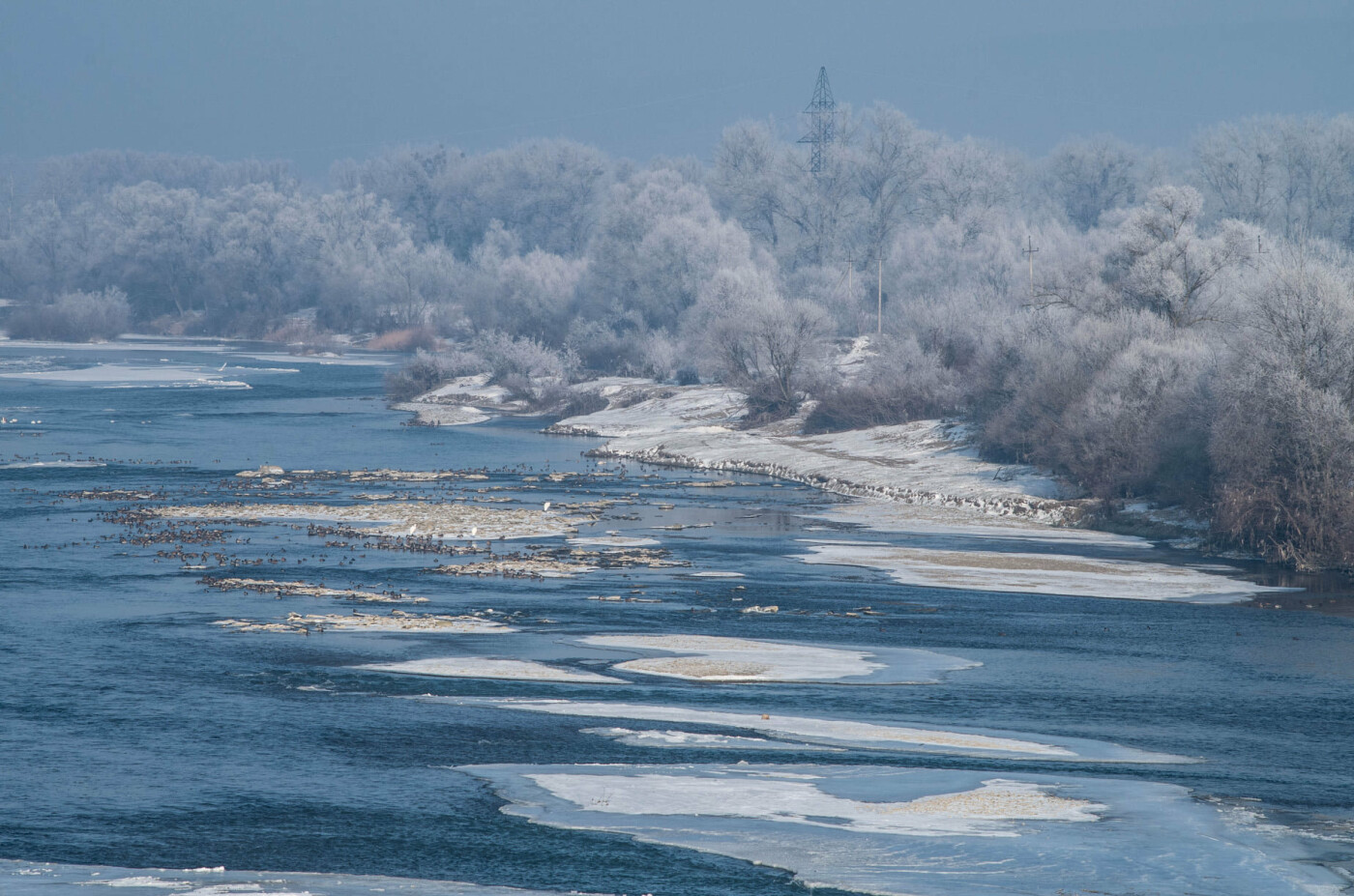 річка Прут у Чернівцях взимку