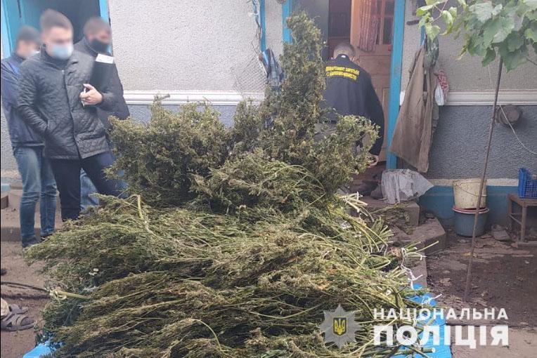 Майже 20 кг наркосировини знайшли у буковинця під час обшуку