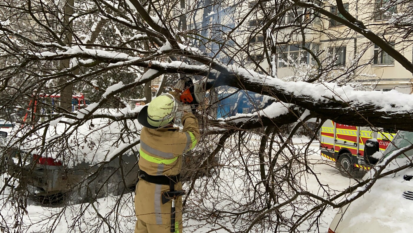 рятувальники розпиляли повалене дерево