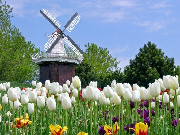 Преподобного Нікона: свято сьогодні на Буковині, фото-1