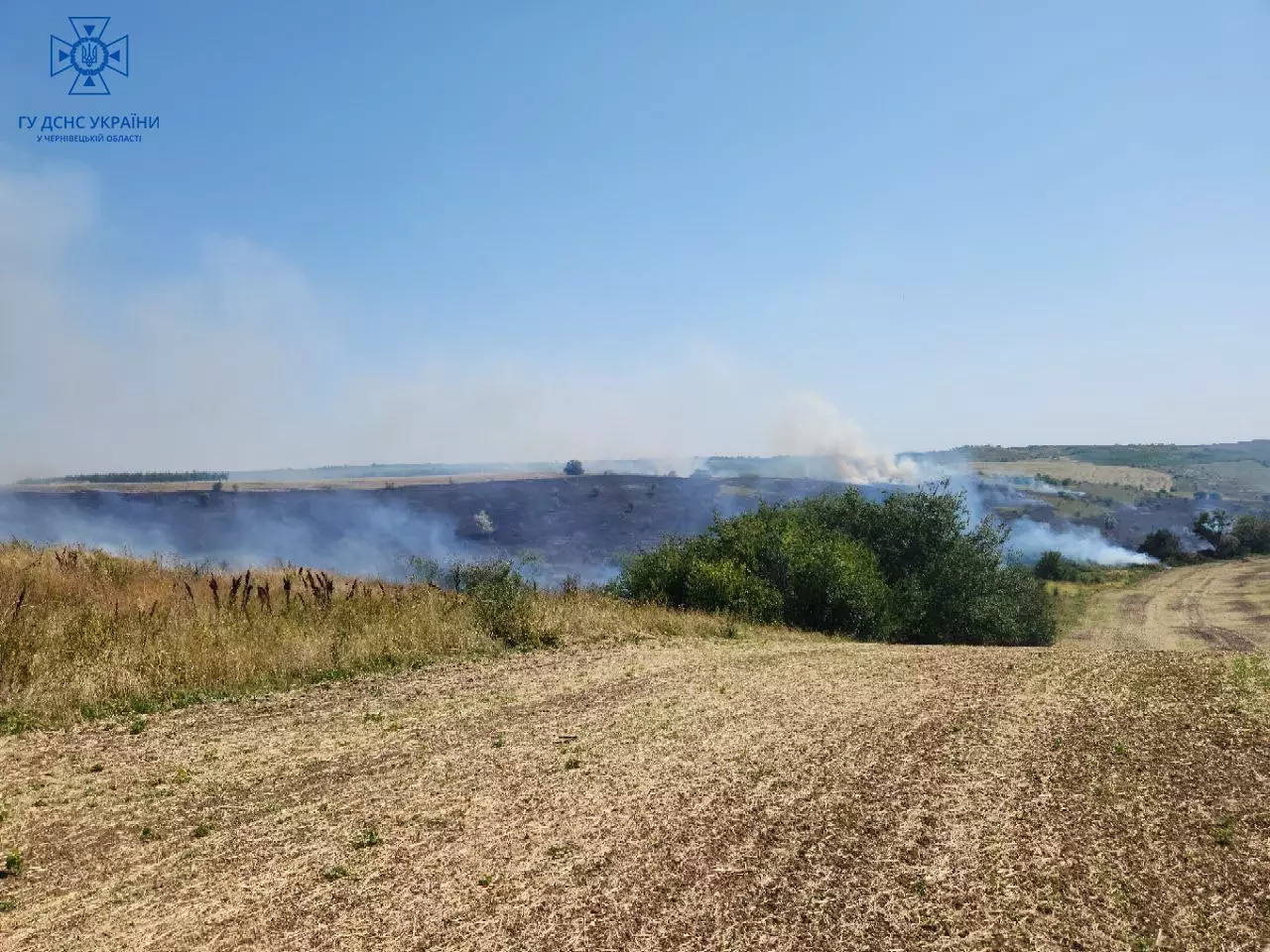 У Чернівецькій області спалахнув будинок та горіло сміття: вогнеборці загасили дев’ять пожеж