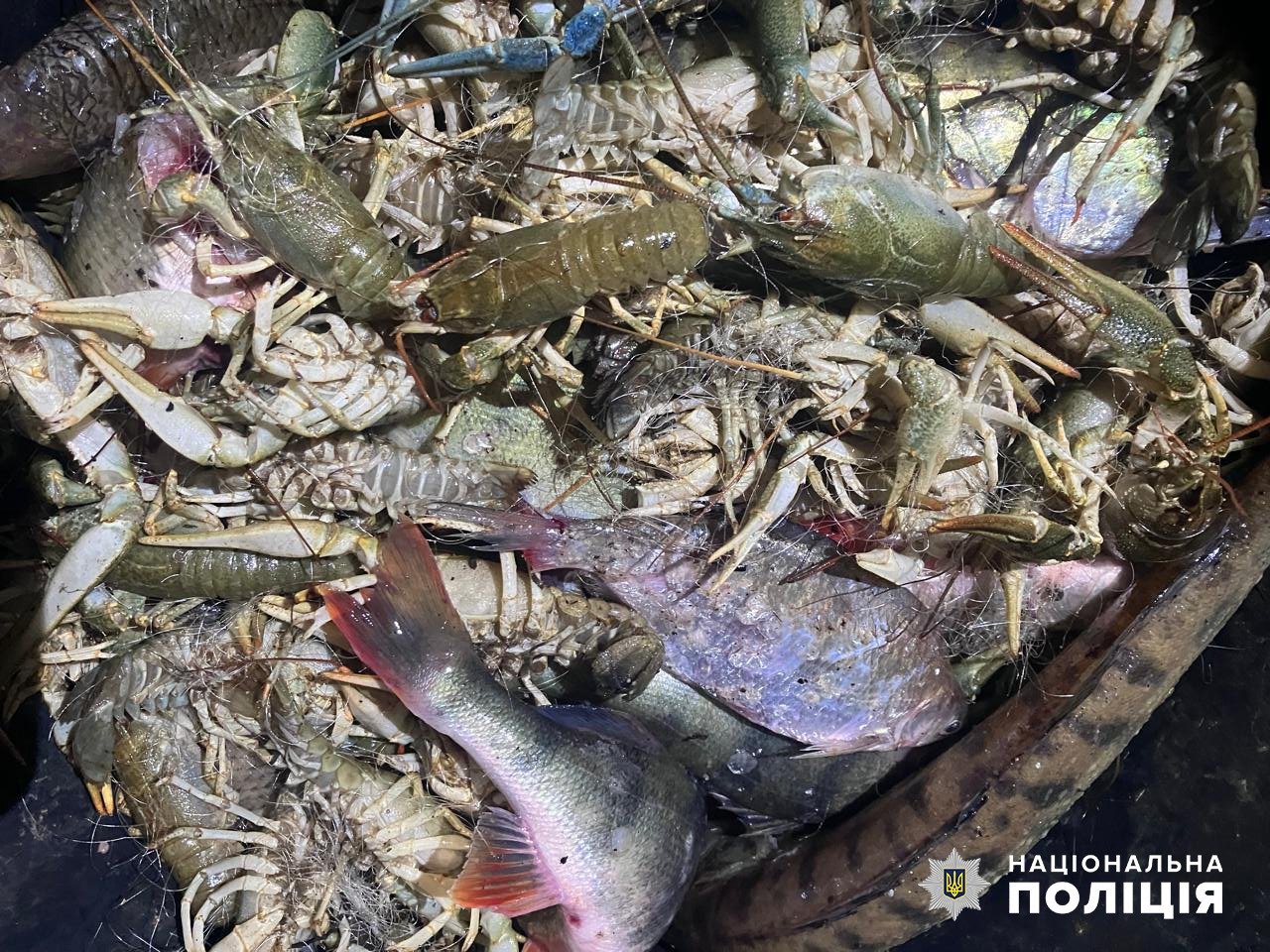 Фото: Національна поліція