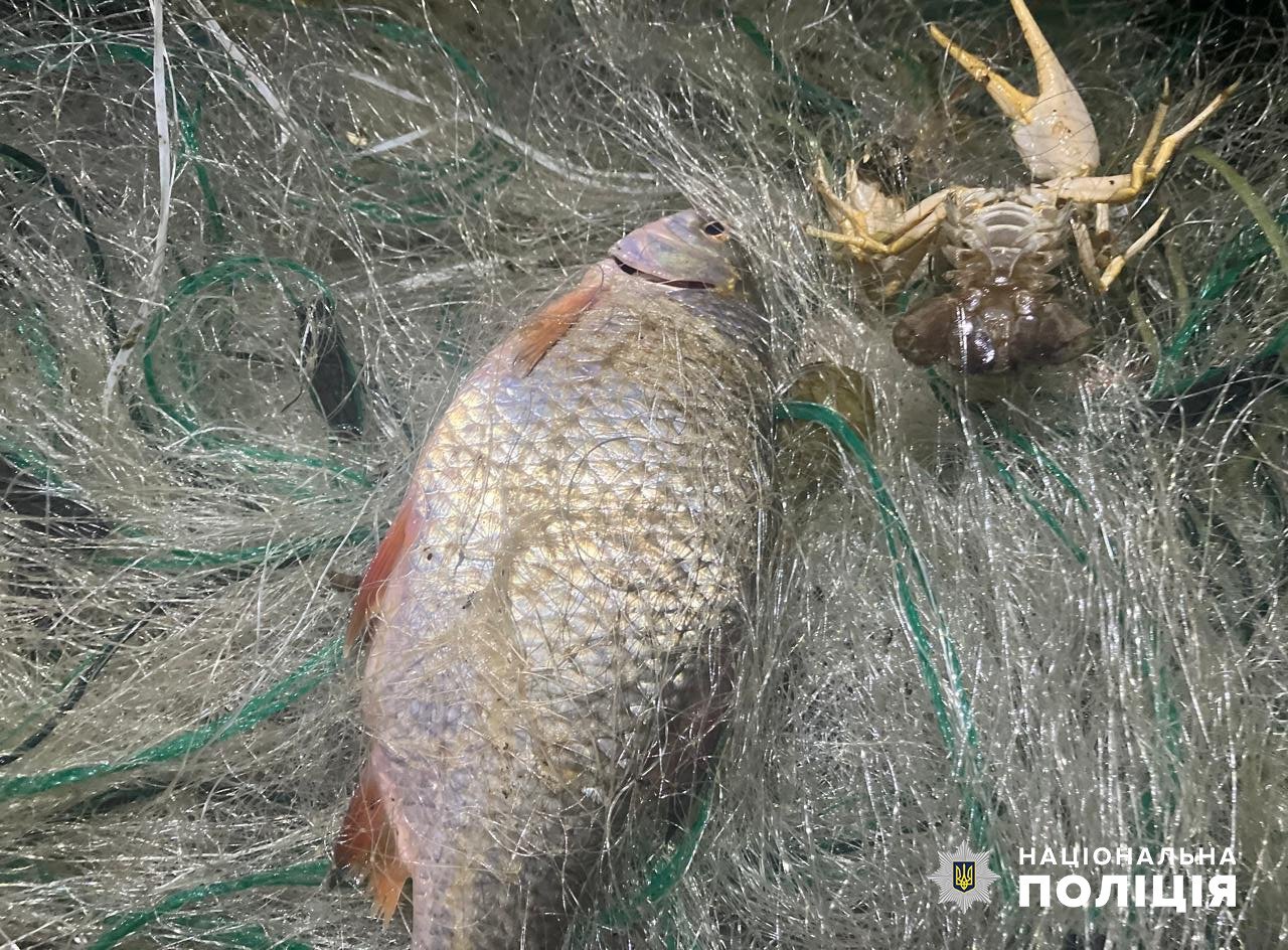 Фото: Національна поліція