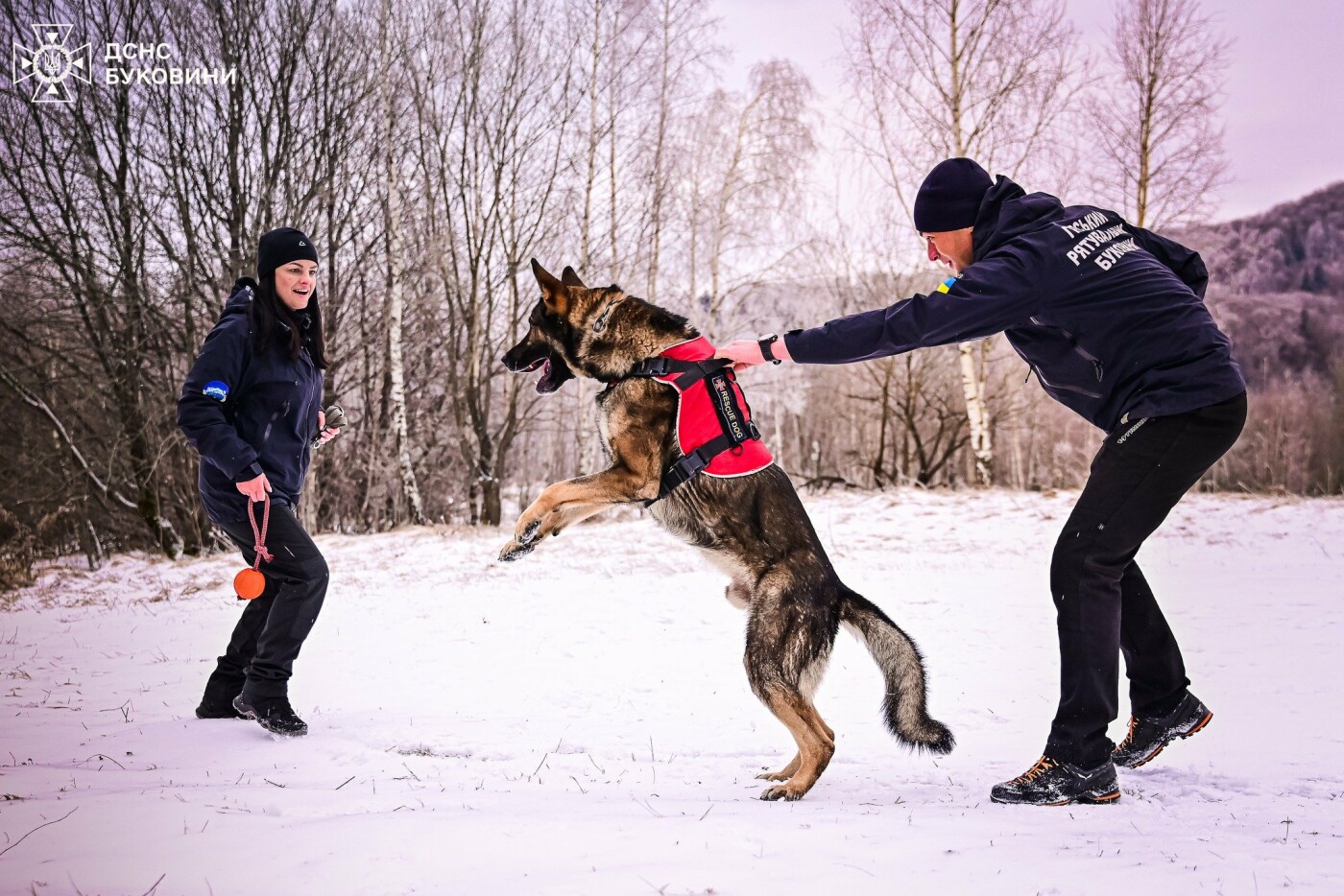 Фото: ДСНС Буковини