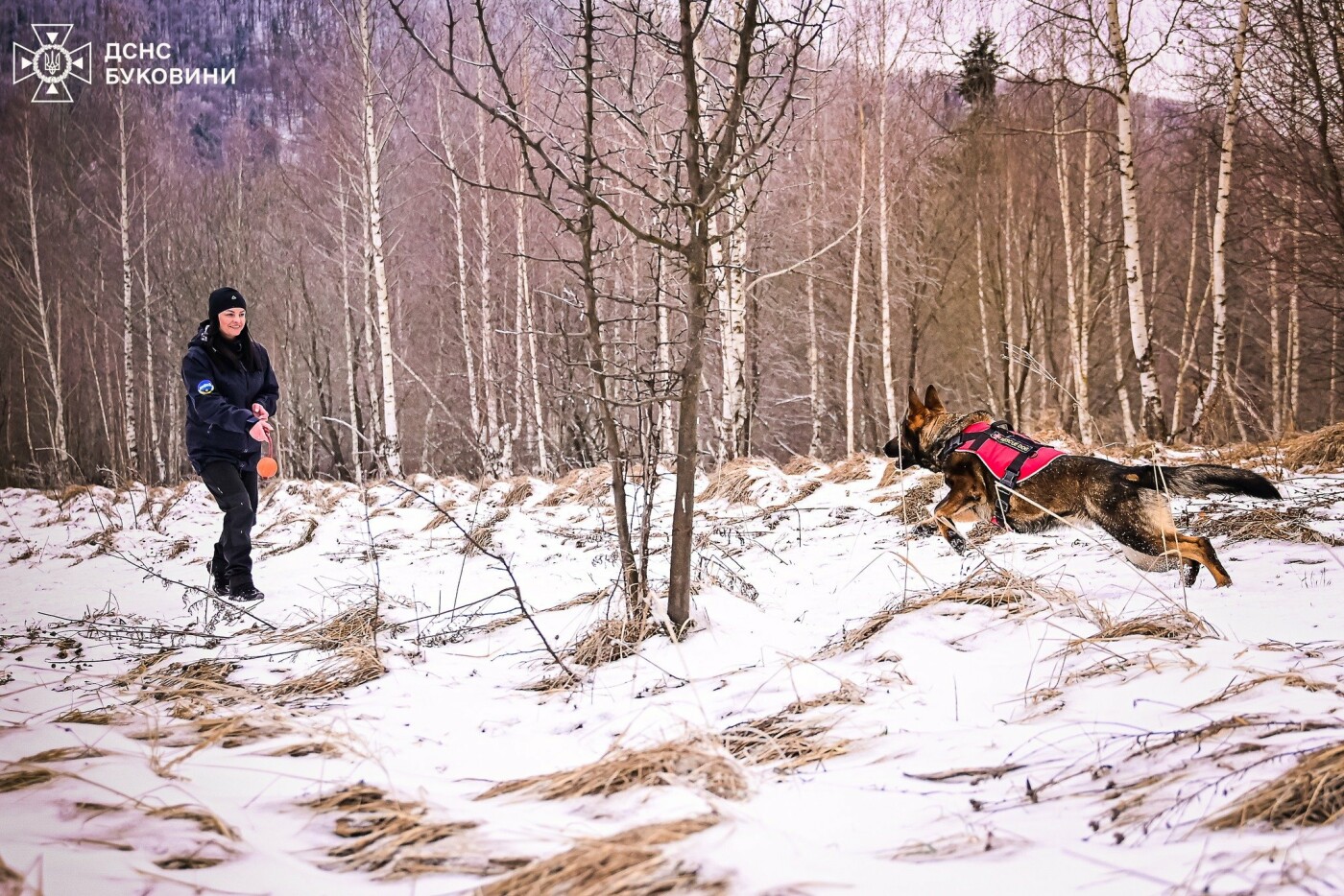 Фото: ДСНС Буковини