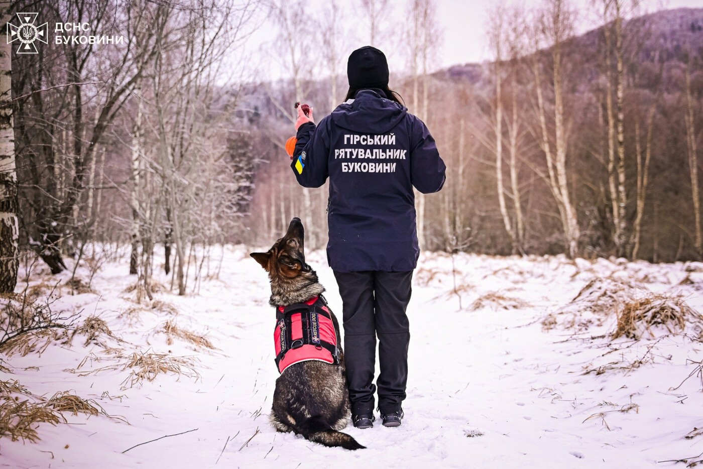 Фото: ДСНС Буковини