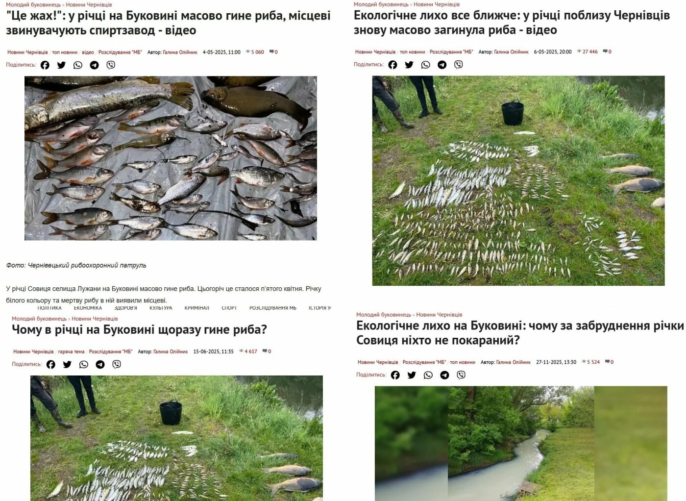 Журналістські розслідування в Чернівцях: що вони змінюють і чому їх бракує, фото-3