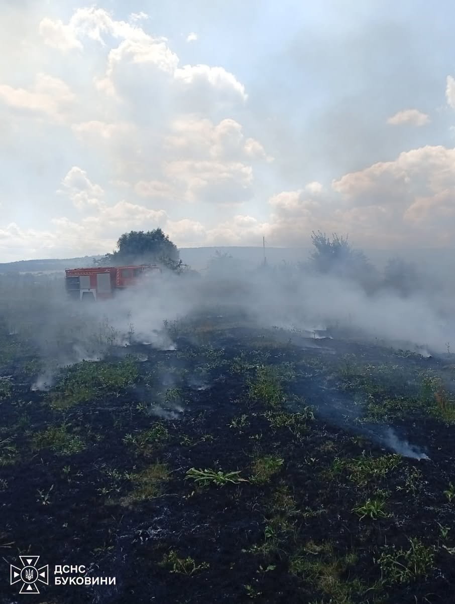 ДСНС Буковини, Рятувальники під час роботи Рятувальники під час роботи