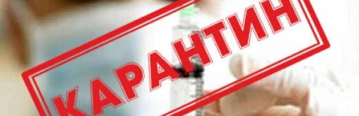 Карантин в Україні будуть продовжувати до квітня