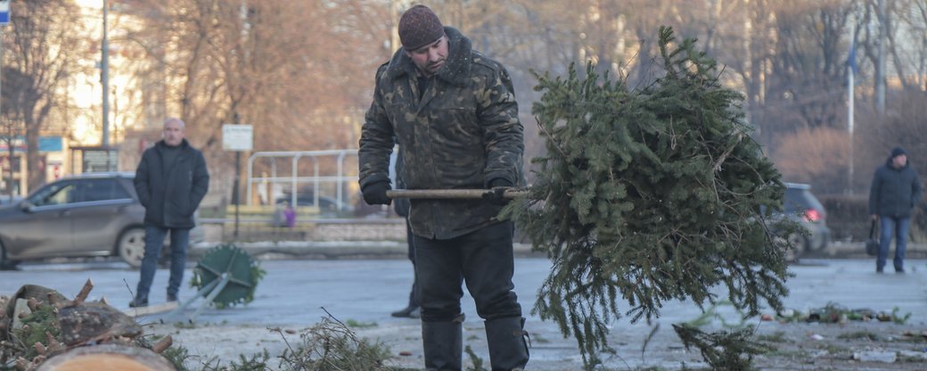 Головну ялинку Буковини розібрали: що зроблять з деревом