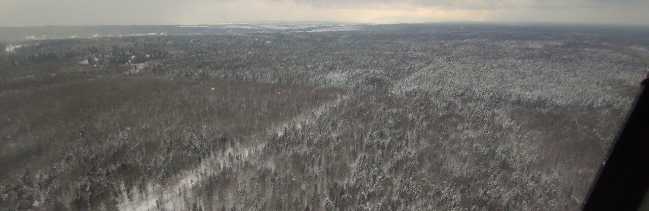 У Карпатах вже дев'яту добу поспіль шукають зниклого туриста