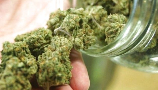 В Україні легалізували медичний канабіс: які препарати тепер можна купити 