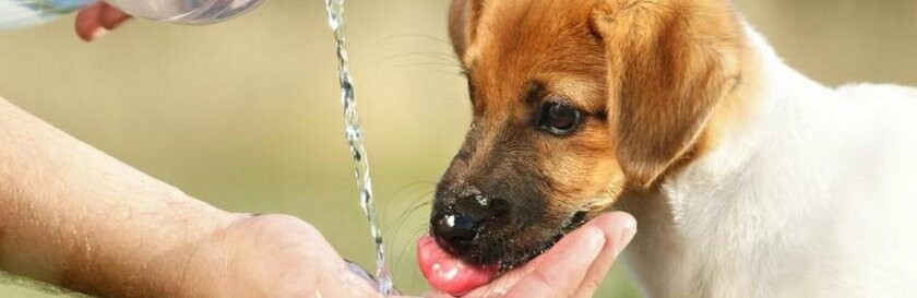 Де у Чернівцях сьогодні не буде води: перелік адрес