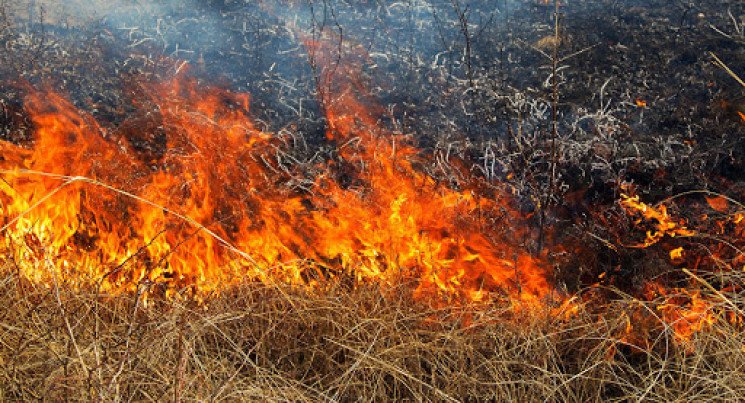 Буковинців попереджають про надзвичайний рівень пожежної небезпеки