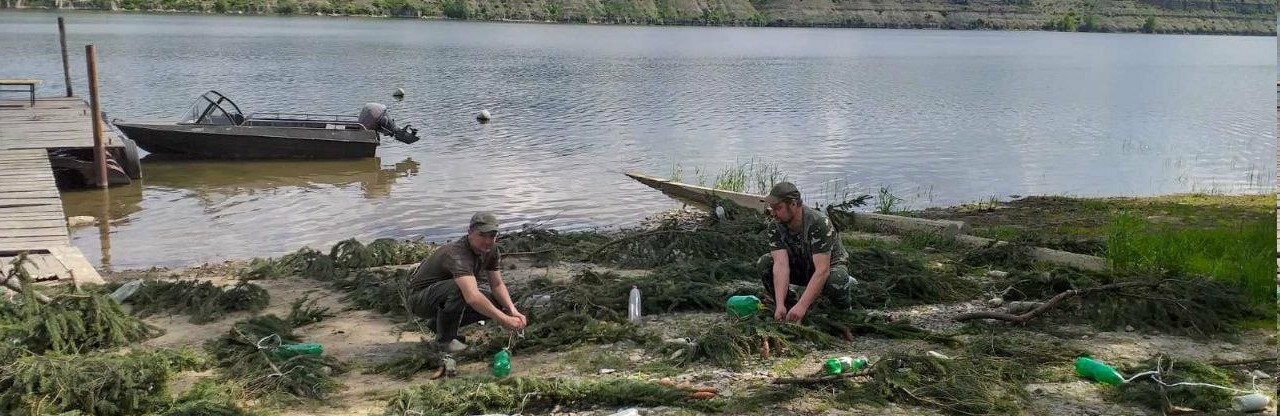 На Дністровському водосховищі встановили штучні нерестові гнізда